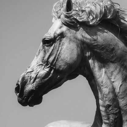 Detail of FLUID dramatic black and white horse photography