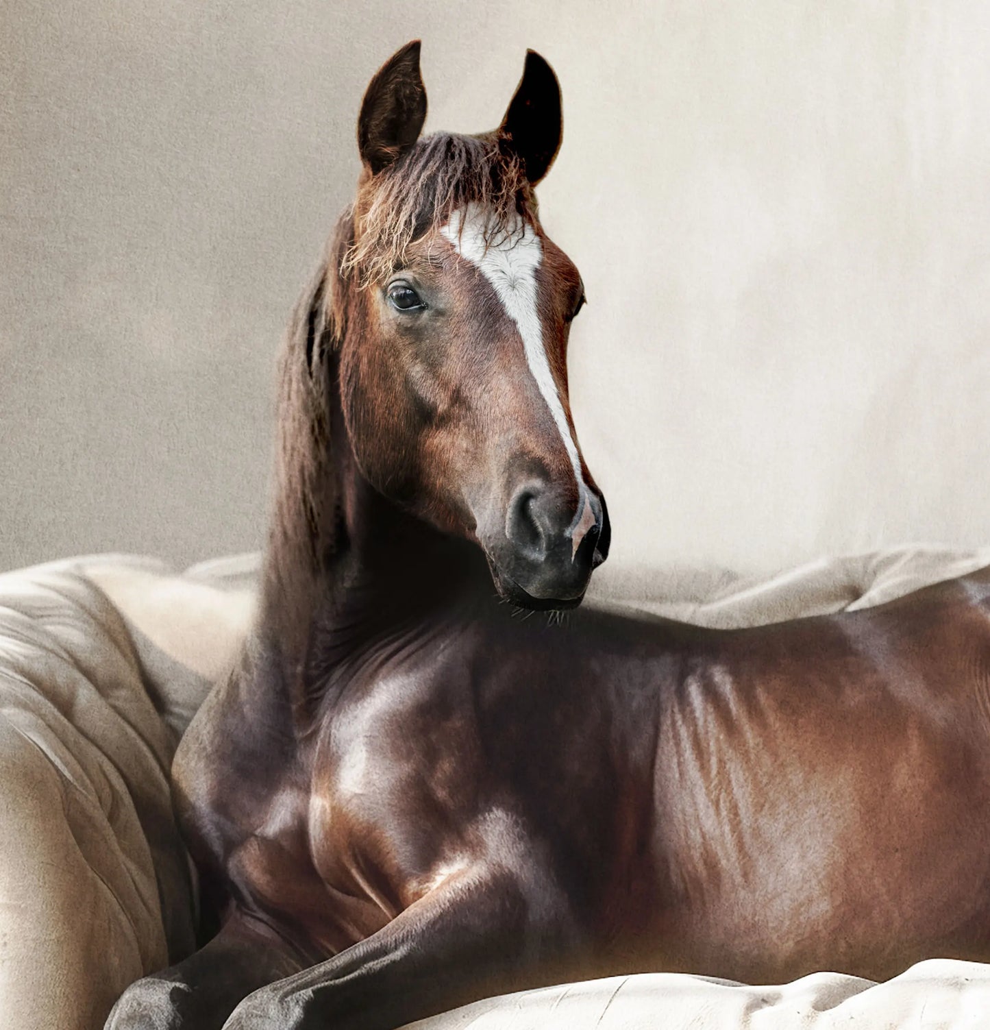 Horse on Sofa