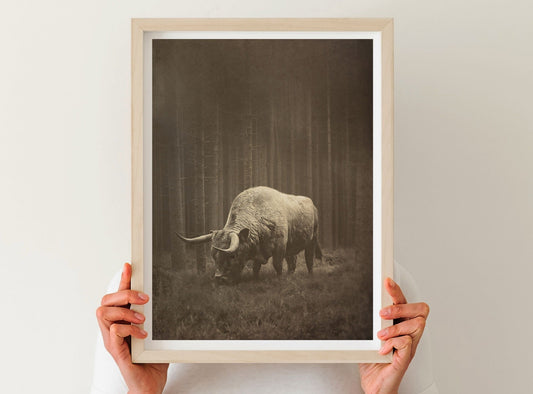 DUSK western wall art by Feather & Bone